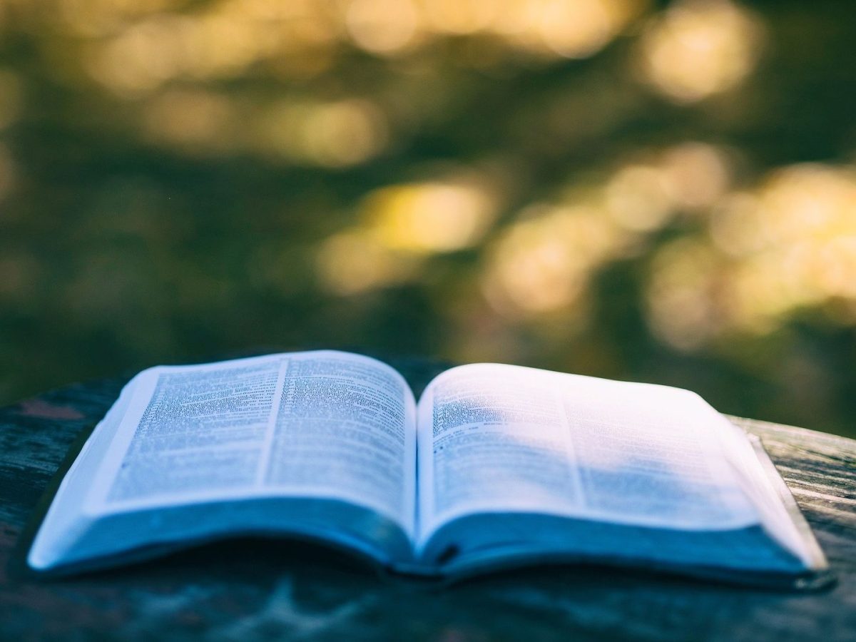 Cercle de lecture
