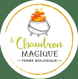 Le Chaudron Magique