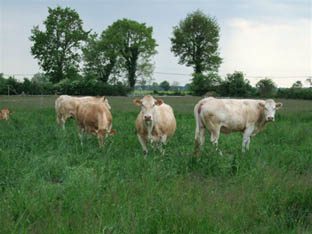 Viandes et terrines de la ferme Dumoulin