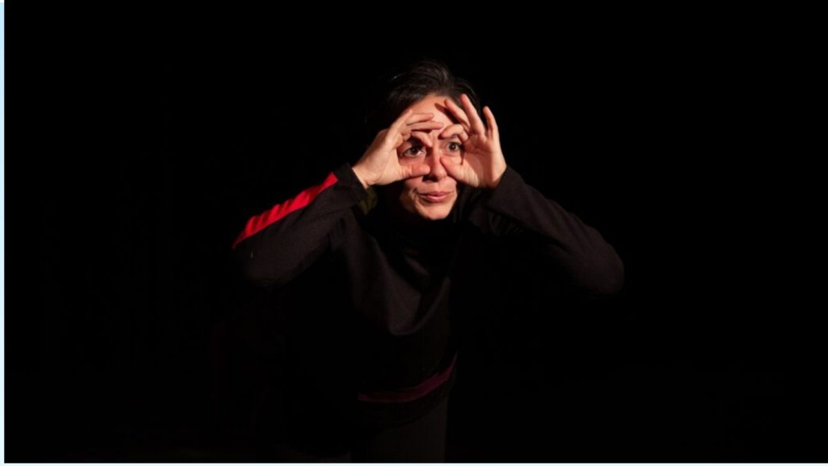 Spectacle : Moi je ne suis pas un éléphant
