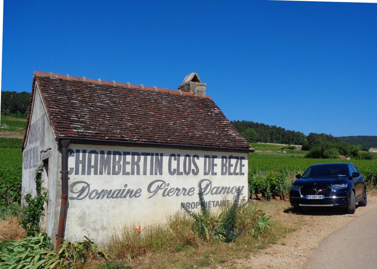 Along Burgundy