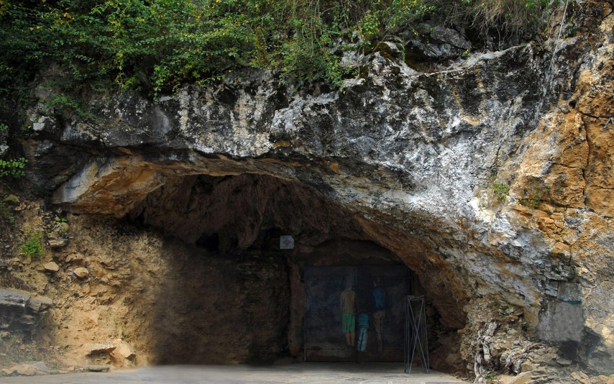 Des Chauves-souris aux grottes d'Oxocelhaya
