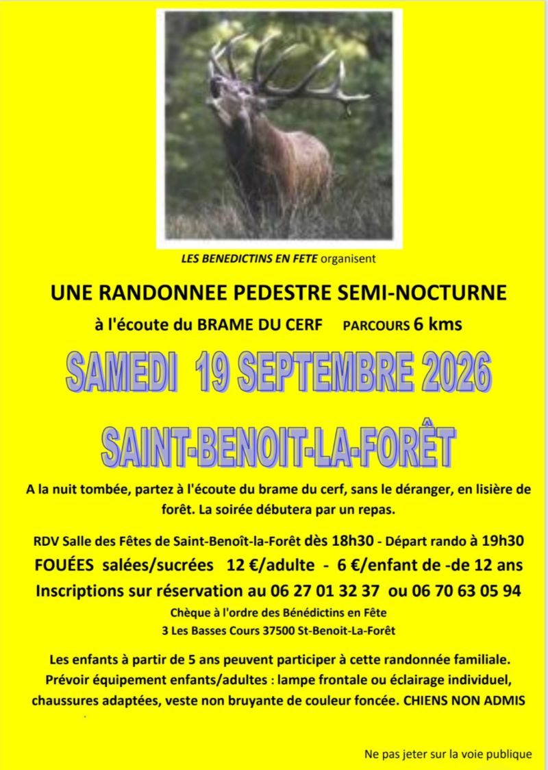 Randonnée pédestre semi-nocturne à l'écoute du brâme du cerf
