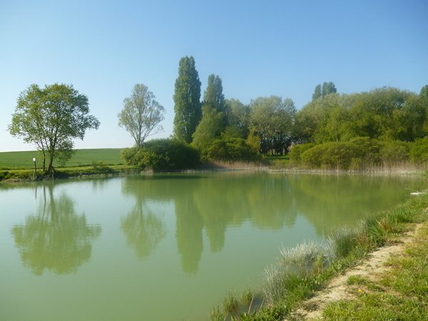 Étang de pêche de Savigny