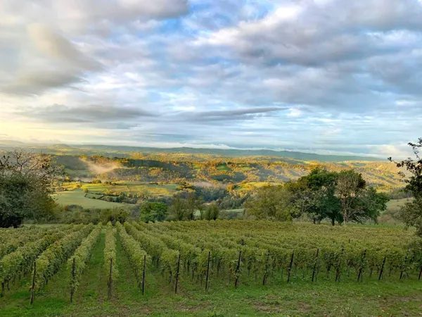 Domaine de Moncles - Vin en IGP Aveyron