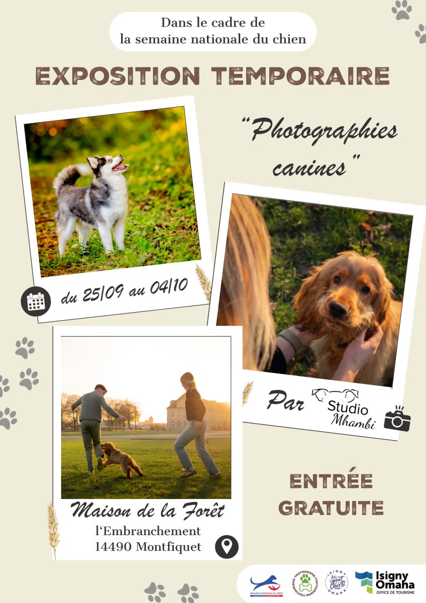 Exposition temporaire "photographies canines"