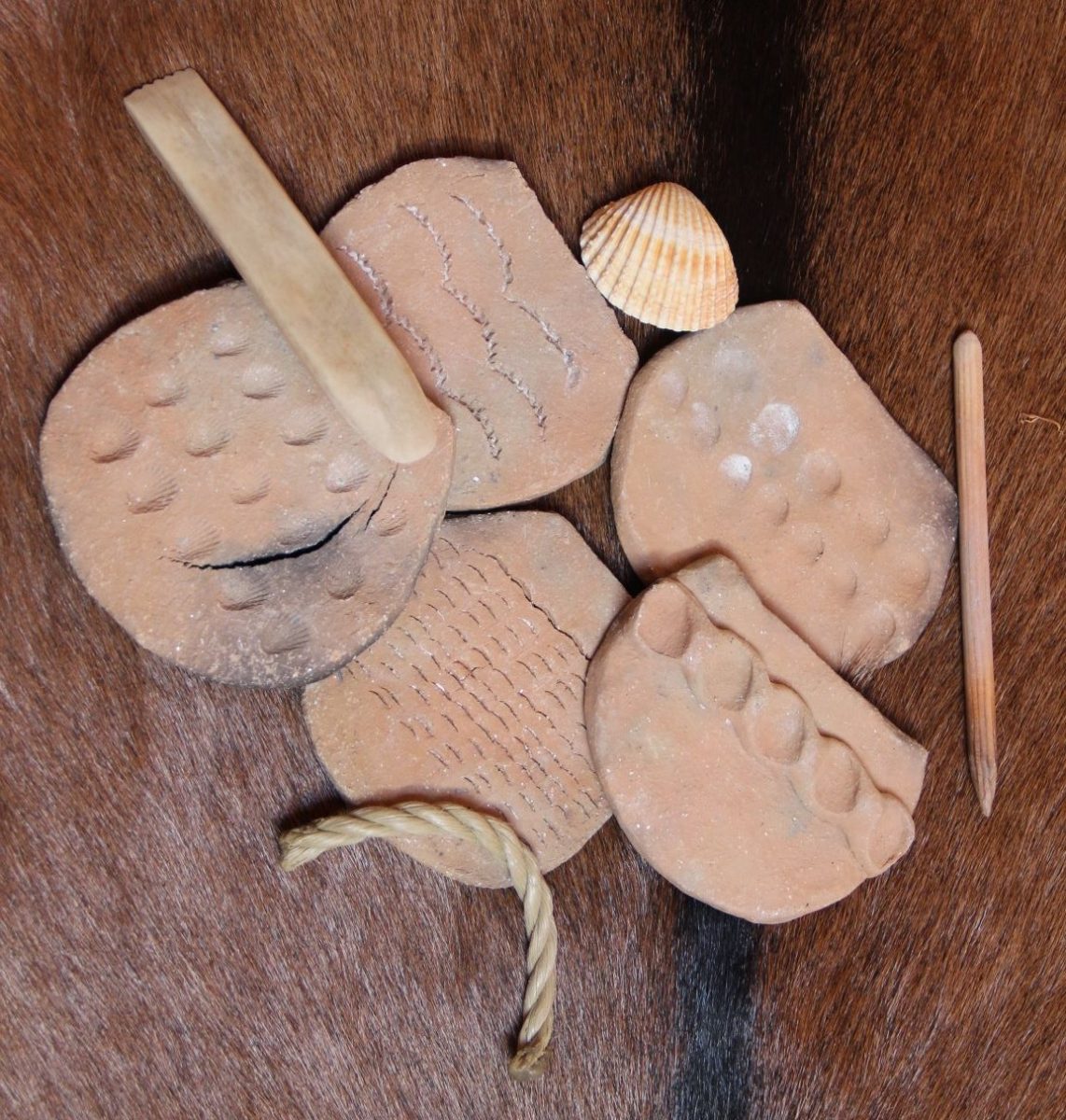 Atelier "Ma première poterie" - de 3 à 6 ans