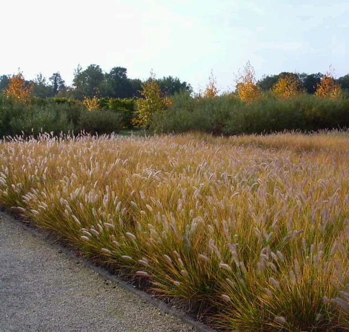 Le Jardin des Arbres