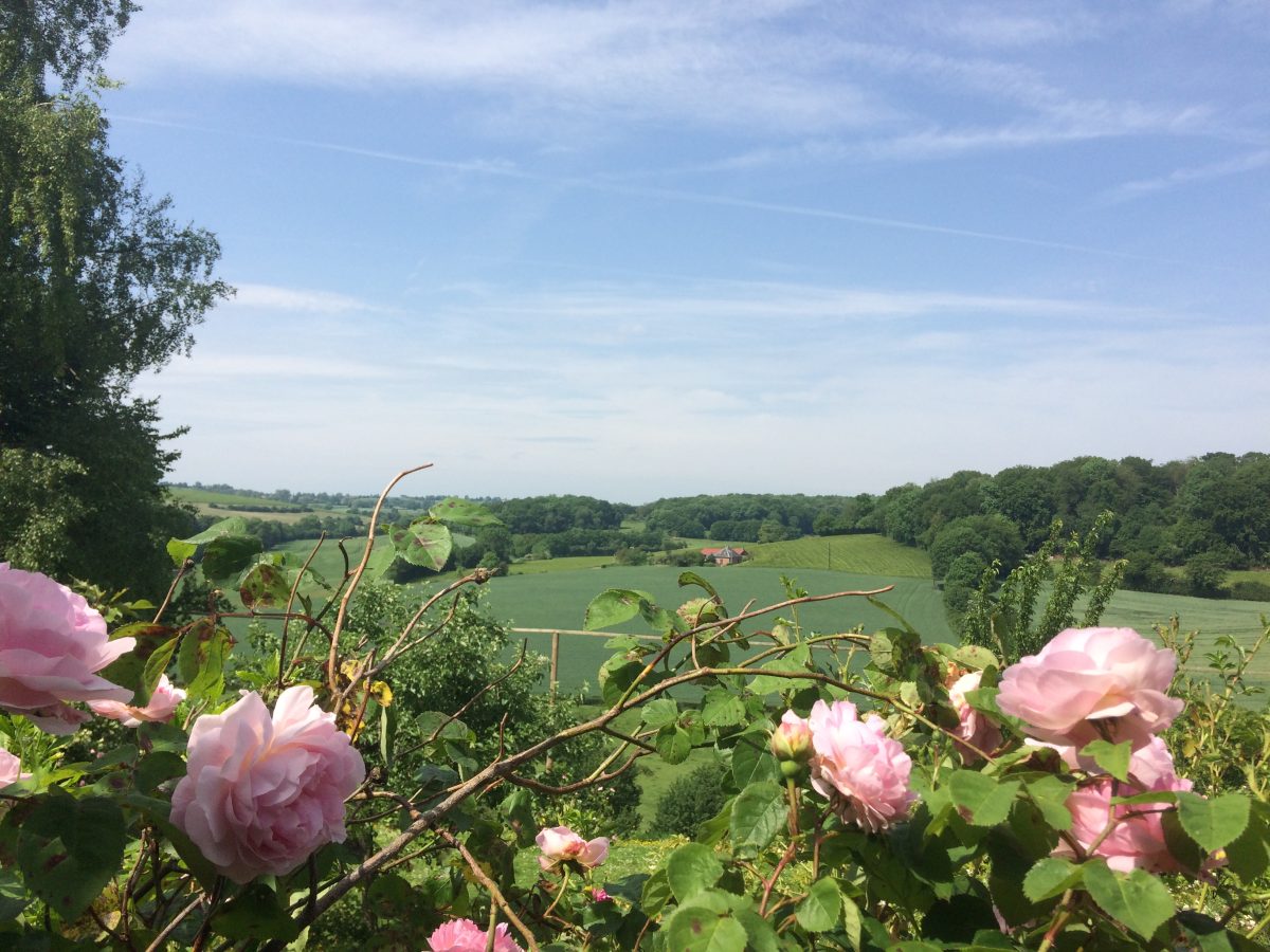 Les Jardins du Tour de Ville