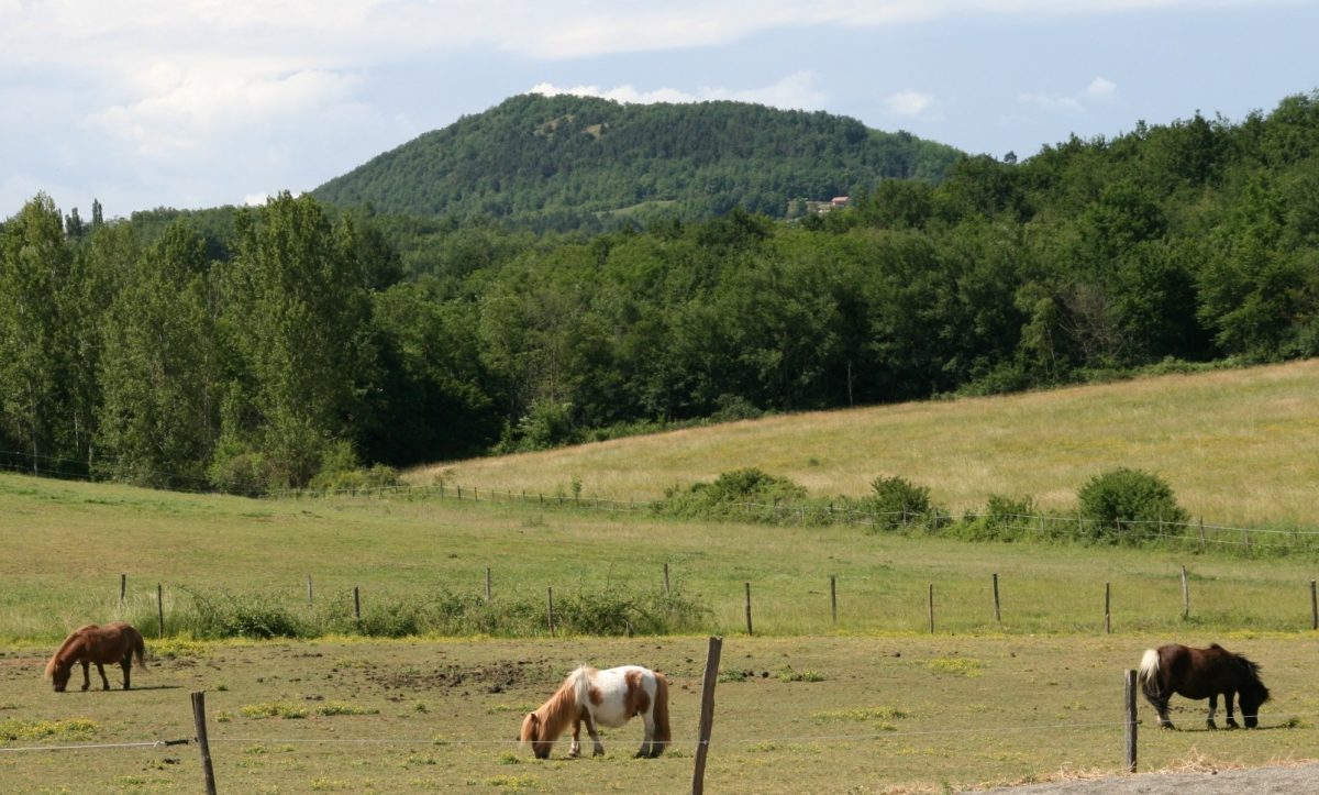 LA FERME EQUESTRE DU CONTE
