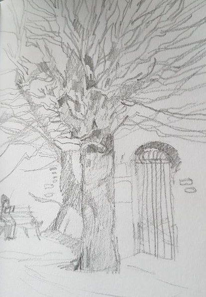 Dessine ton patrimoine !