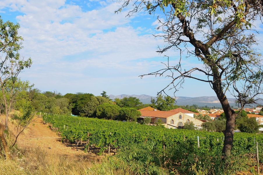 DOMAINE DE ROMBEAU