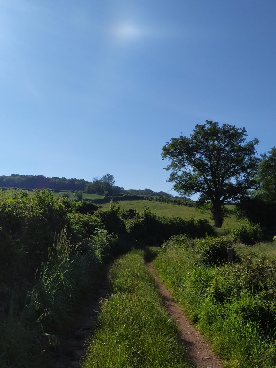 Le sentier de la Maison des Hommes et des Paysages - Vendredi 31 juillet
