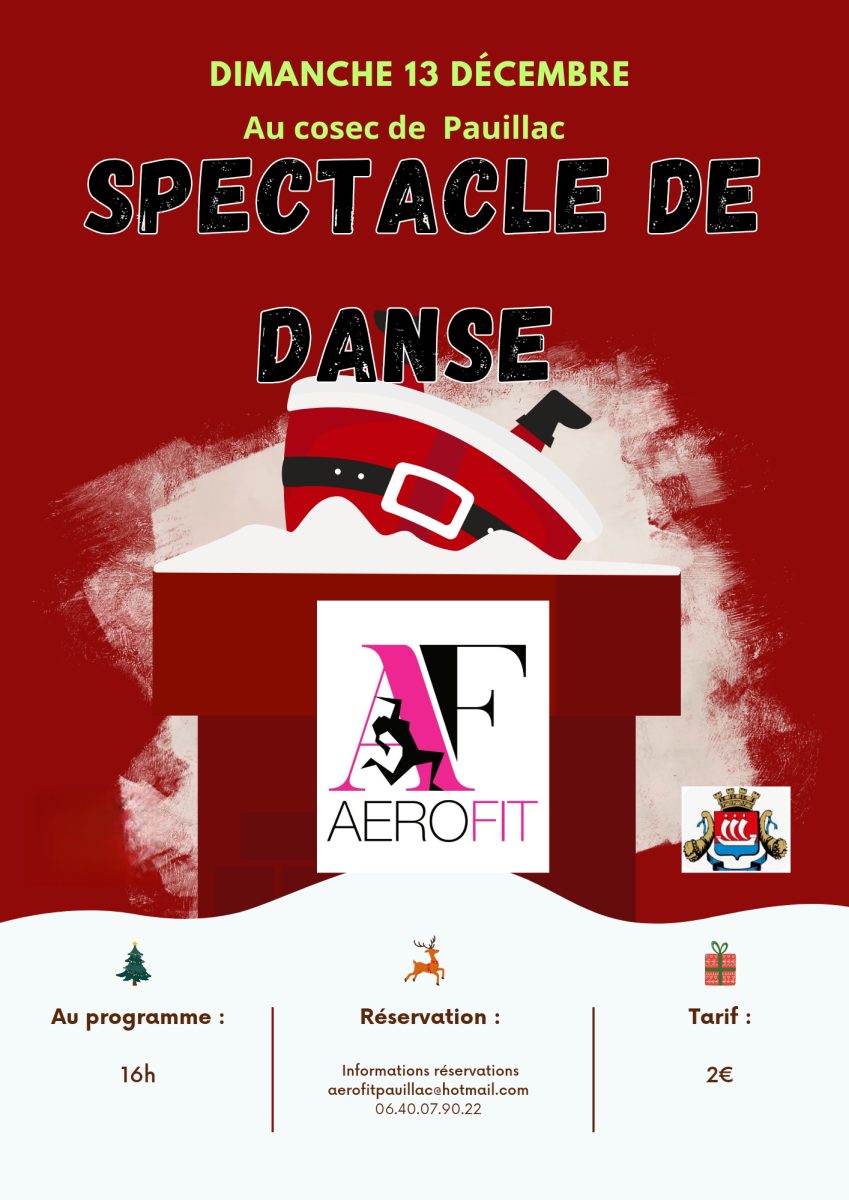 Spectacle de danse Noël d'Aérofit