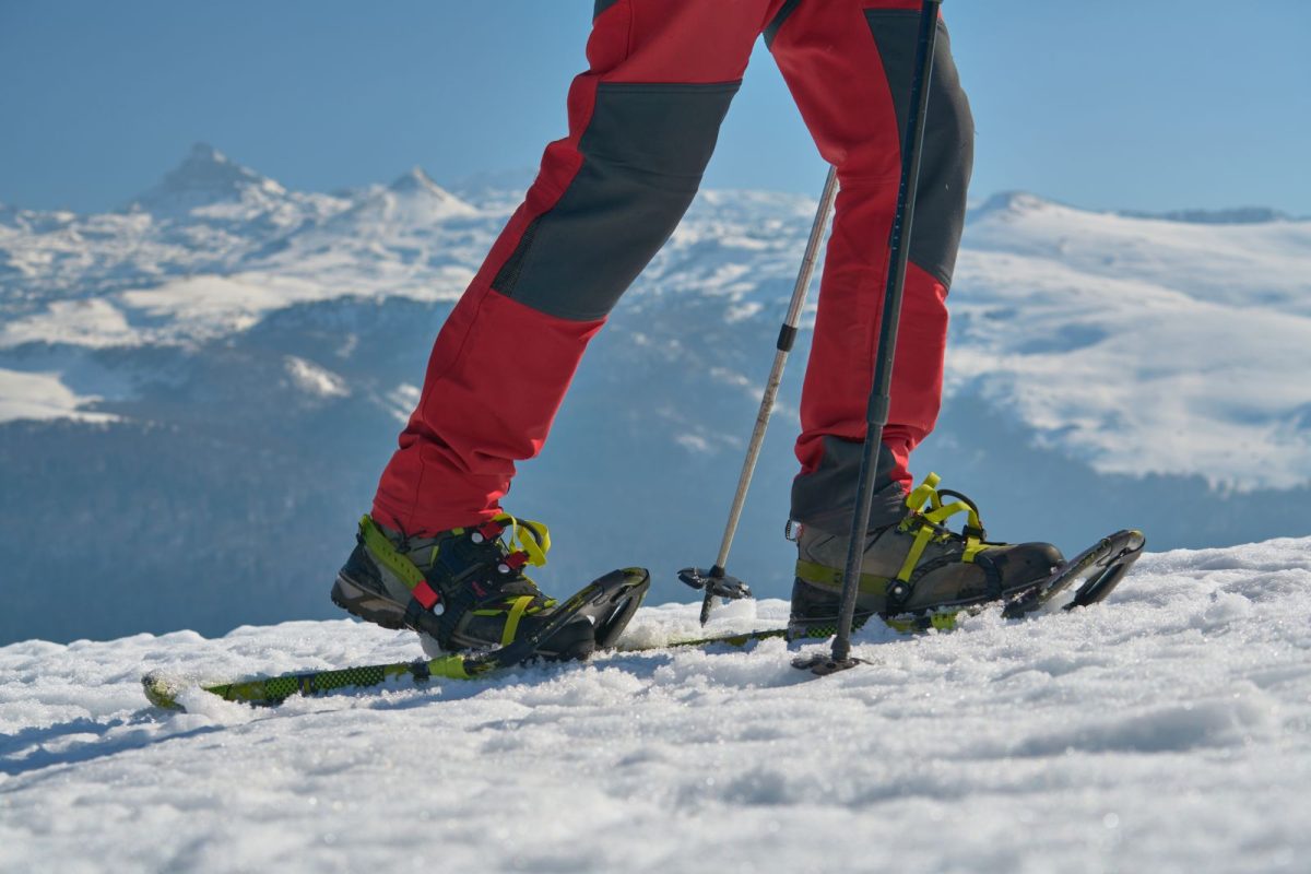 Location de skis-raquettes