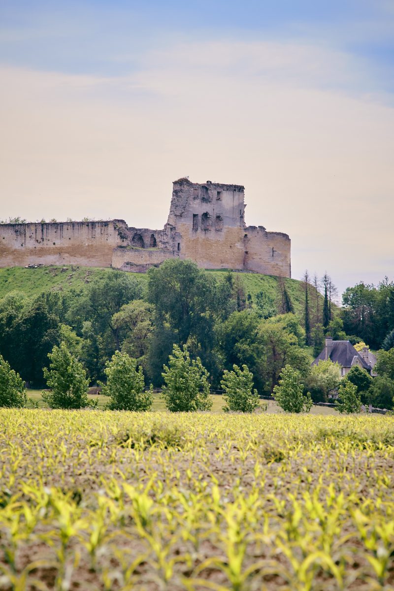 Château de Coucy