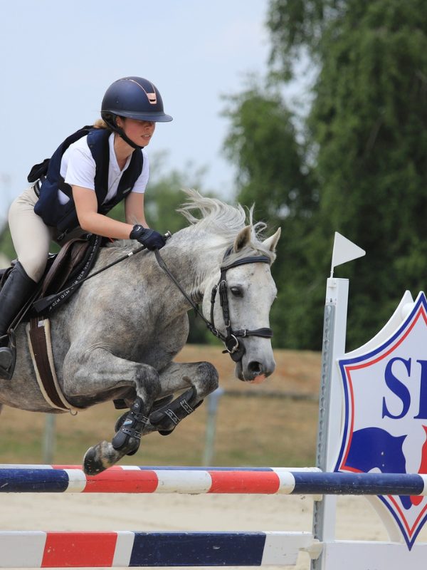 Concours CSO amateur