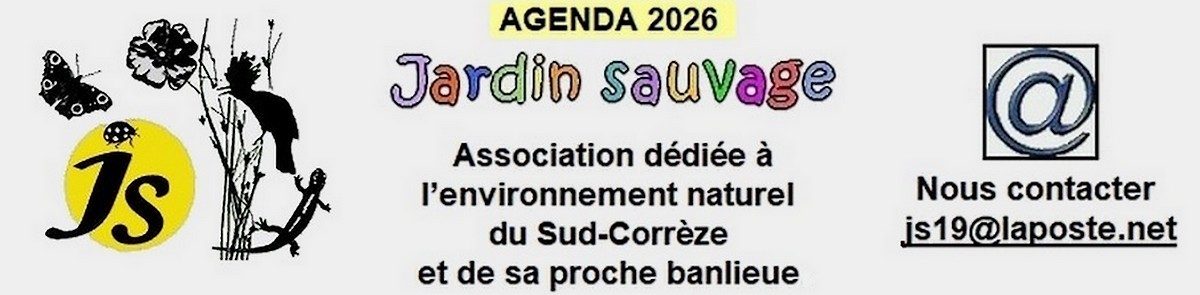 Chantier mares (Jardin Sauvage)