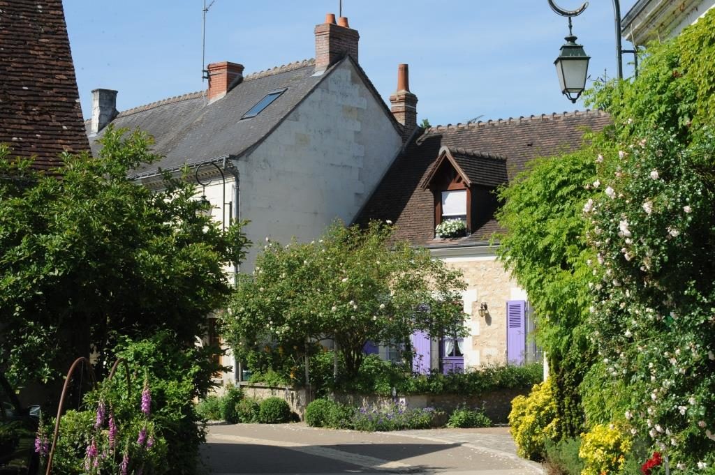 Chédigny village jardin "Jardin remarquable" et fleur d'or