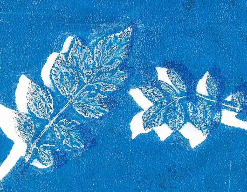Atelier créatif - cyanotype