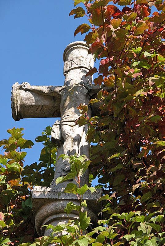 Croix de Saint-Broingt-le-Bois (1)