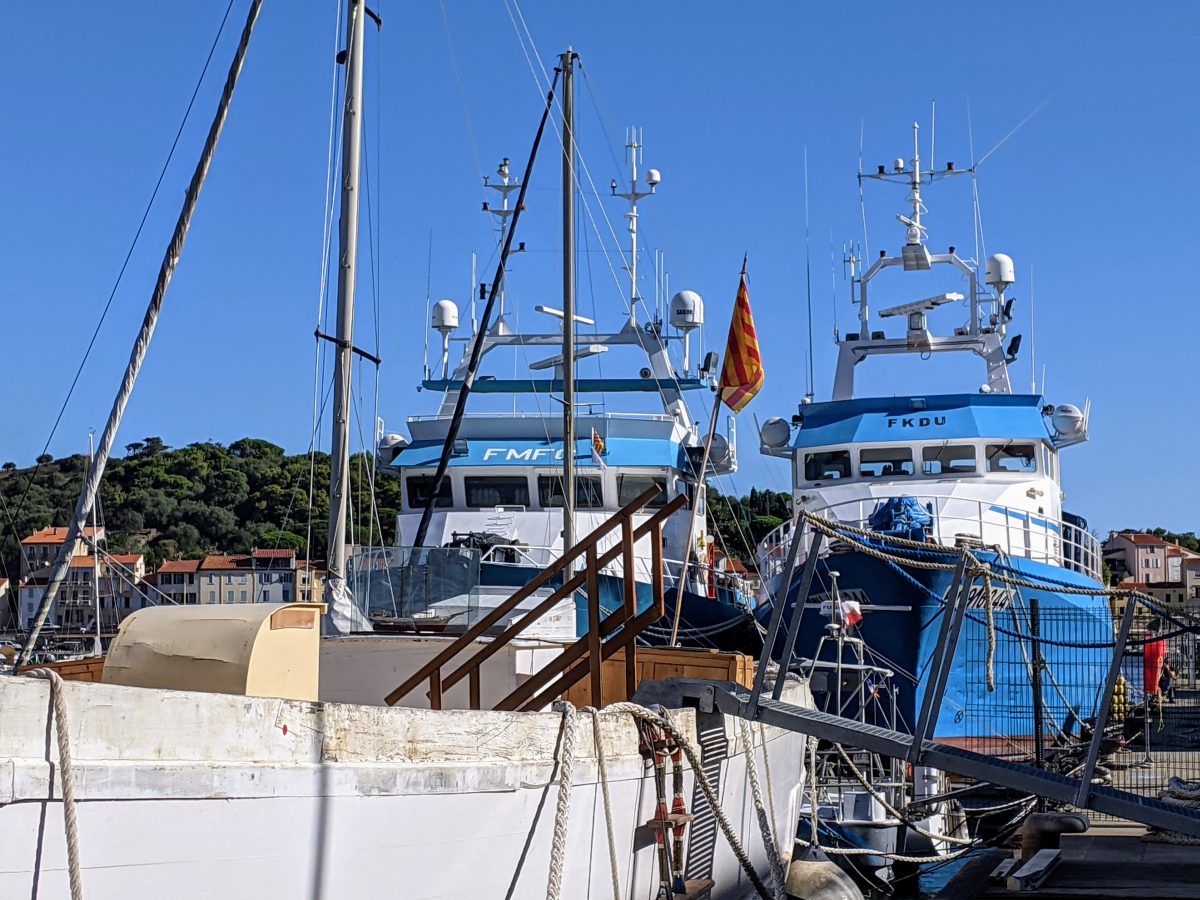 VISITE GUIDEE "PORT-VENDRES AU FIL DE L'EAU"