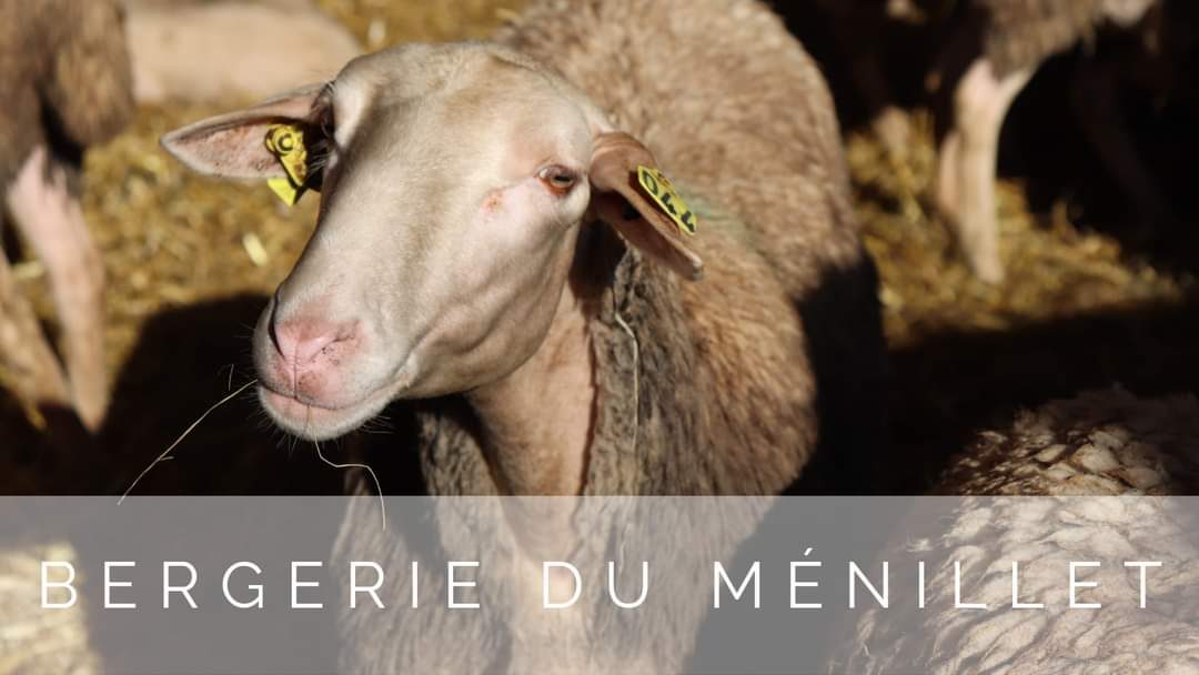 Bergerie du Ménillet