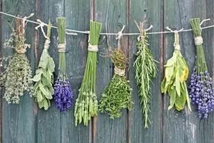 Le Chaudron aux Bonnes Herbes