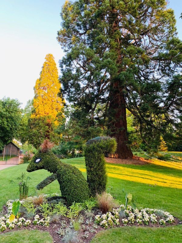 Jardin René Boylesve