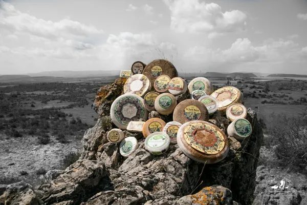 Fromagerie coopérative des Bergers du Larzac