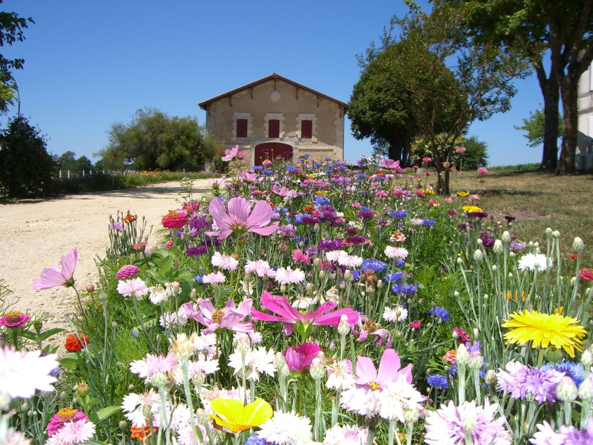 Château Le Temple de Tourteyron