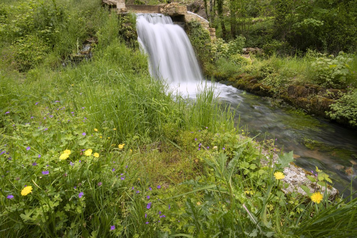 La source du suran