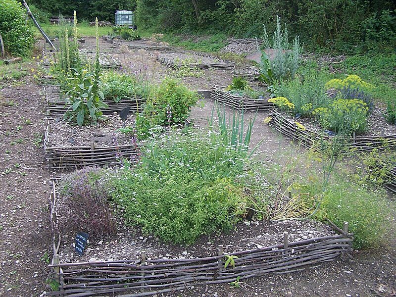 Jardin d'inspiration médiévale