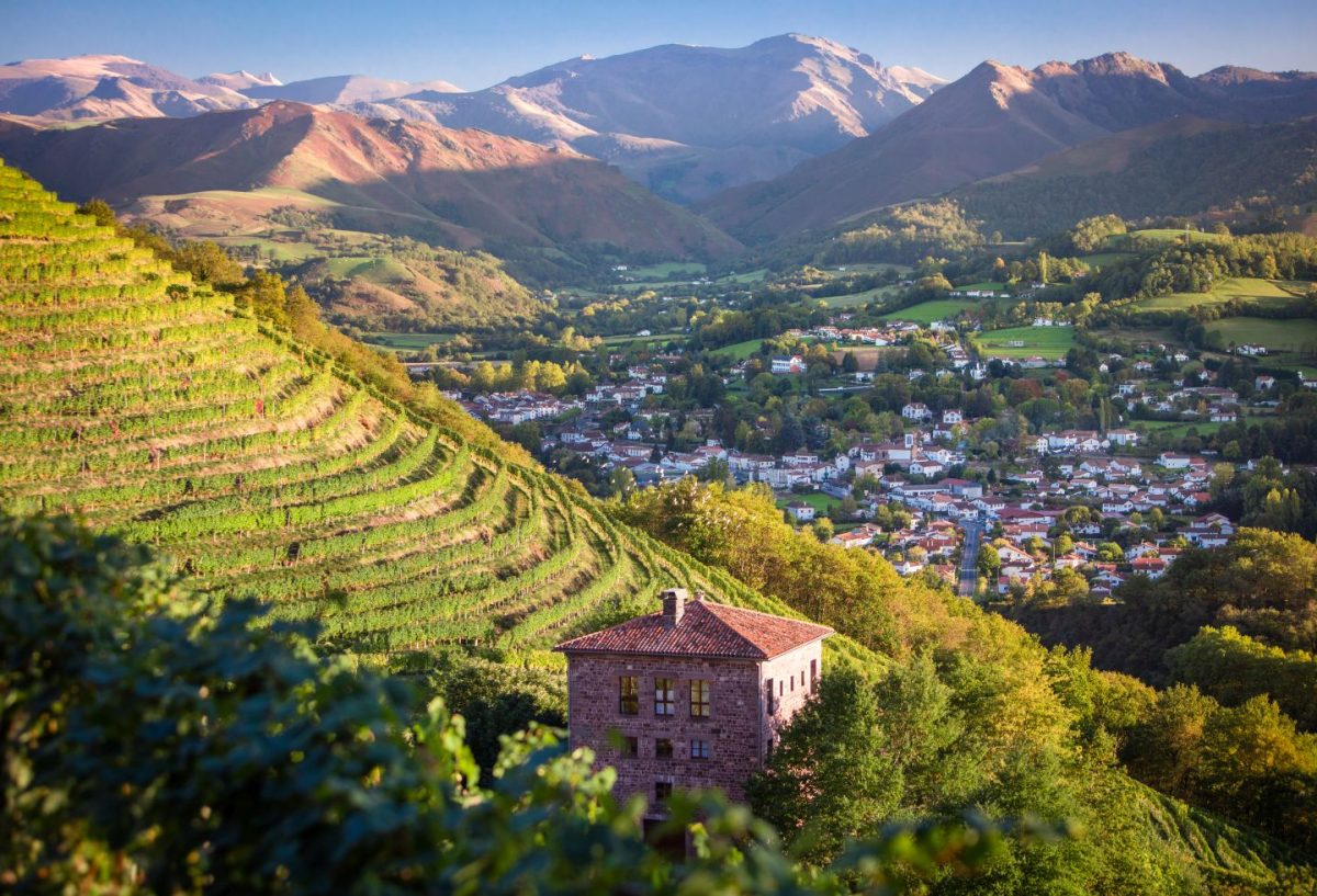 Visite du Vignoble Brana et dégustation