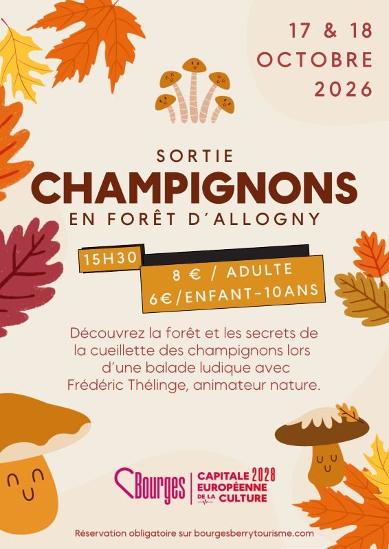 Balade ludique en forêt d'Allogny