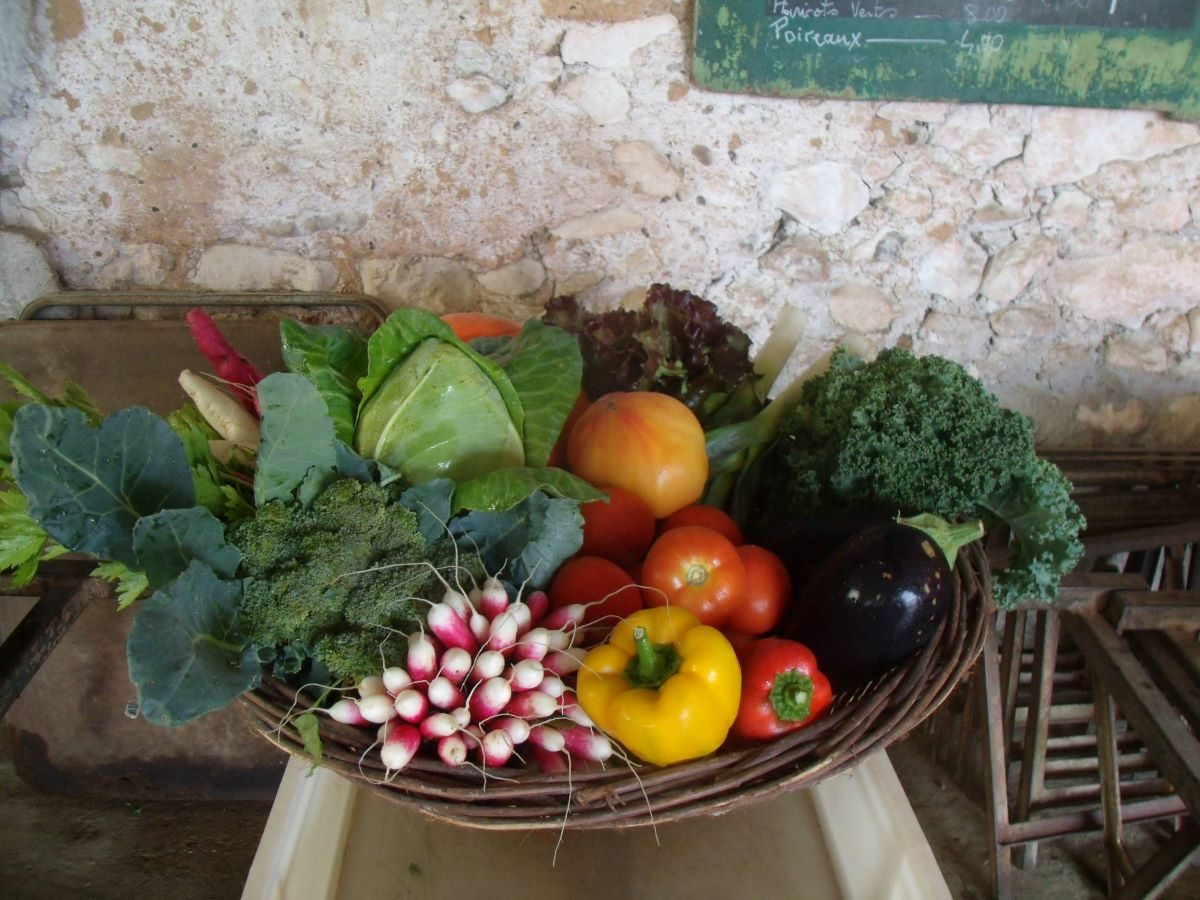 Les Jardins Bio du Verdier