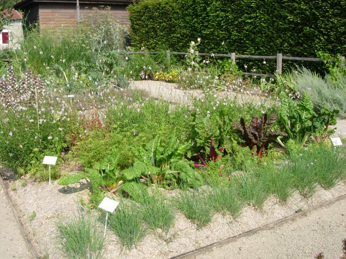 LE JARDIN DU CHATEAU