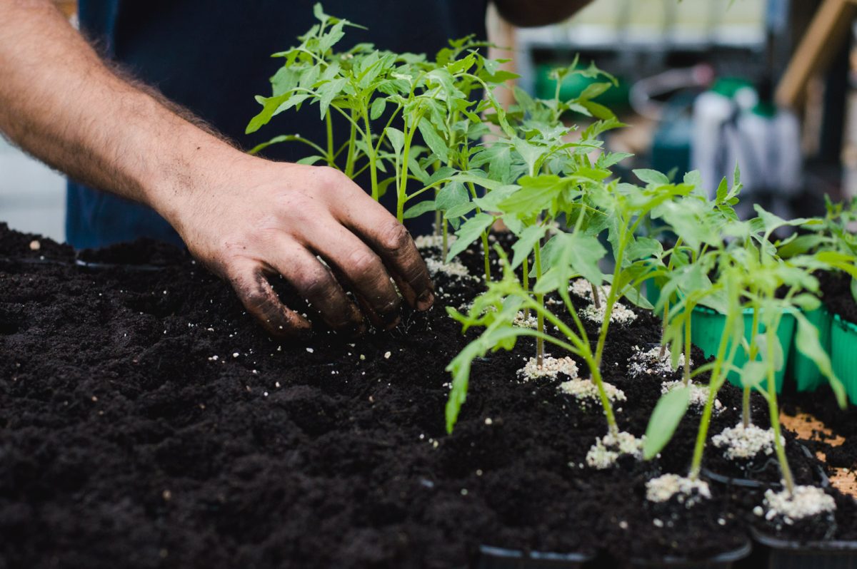 Le Potager de la Meyfrenie