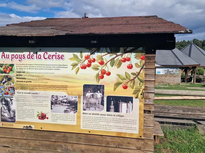 Musée du patrimoine local