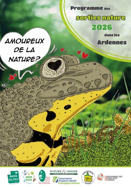 Les chauves-souris de nos villages