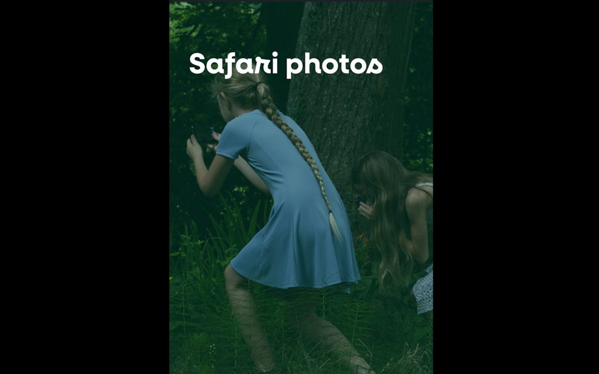 Safari photo
