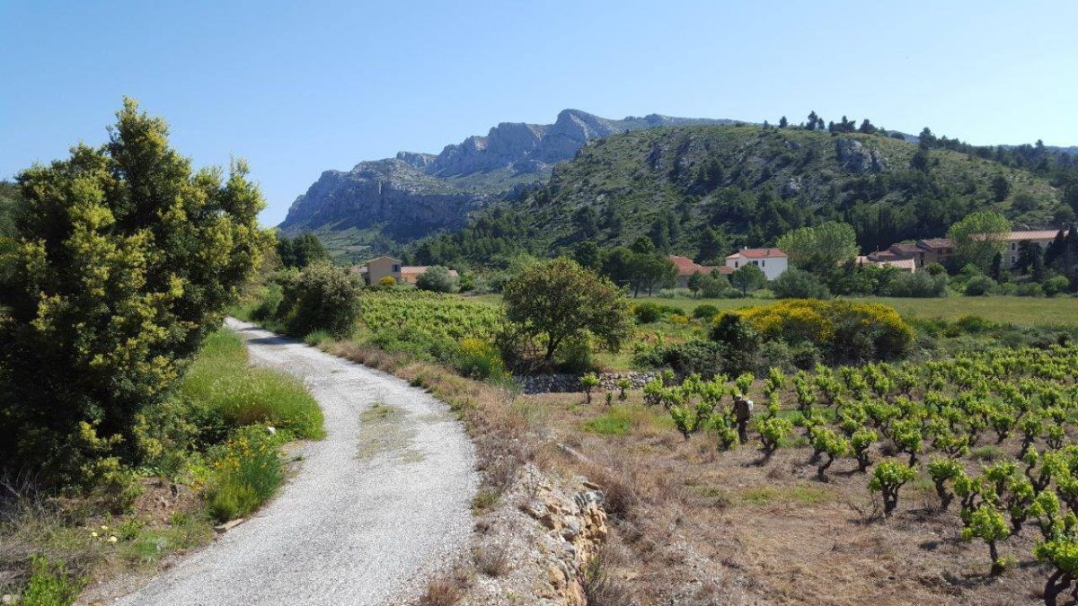 DOMAINE DE L'EDRE