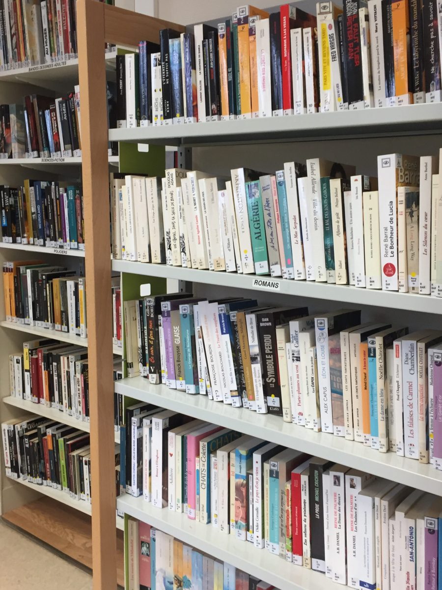 Bibliothèque de Bosmie l'Aiguille