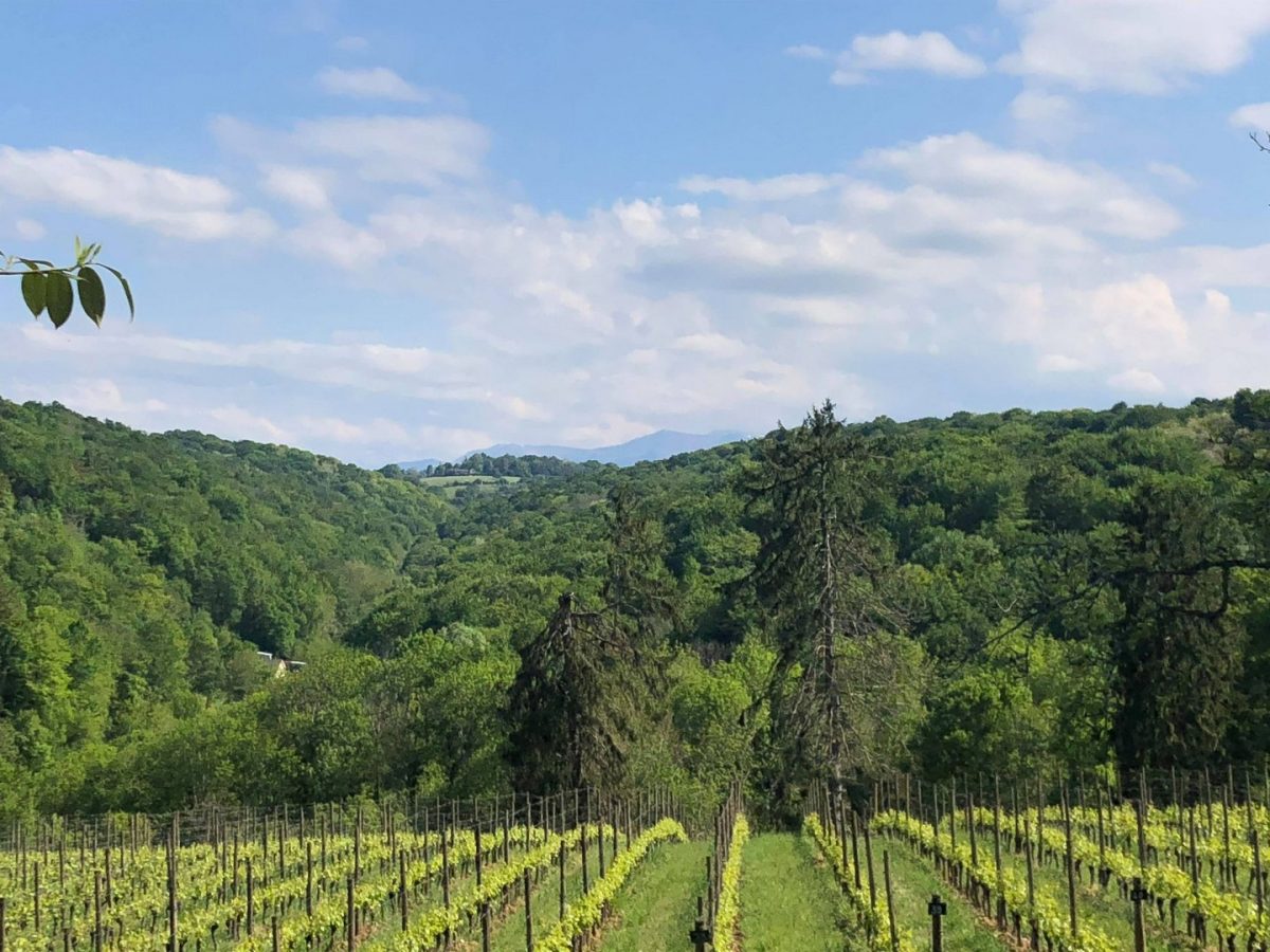 Domaine de Sarros