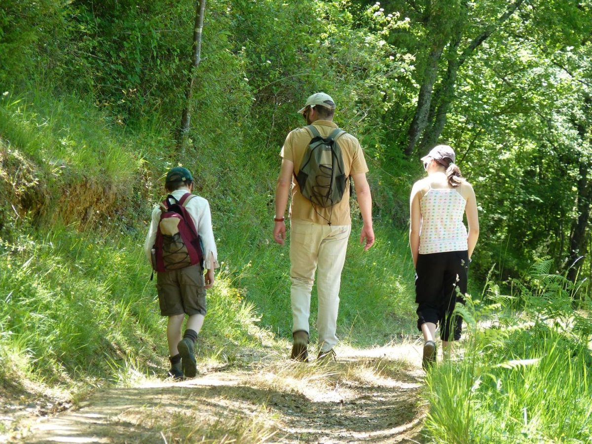 Festival Forêt d'Ici
