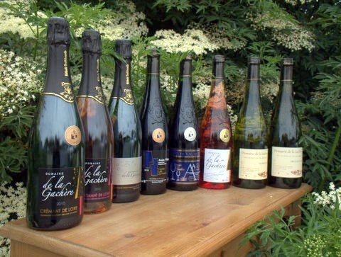 Domaine de la Gachère - GAEC Lemoine