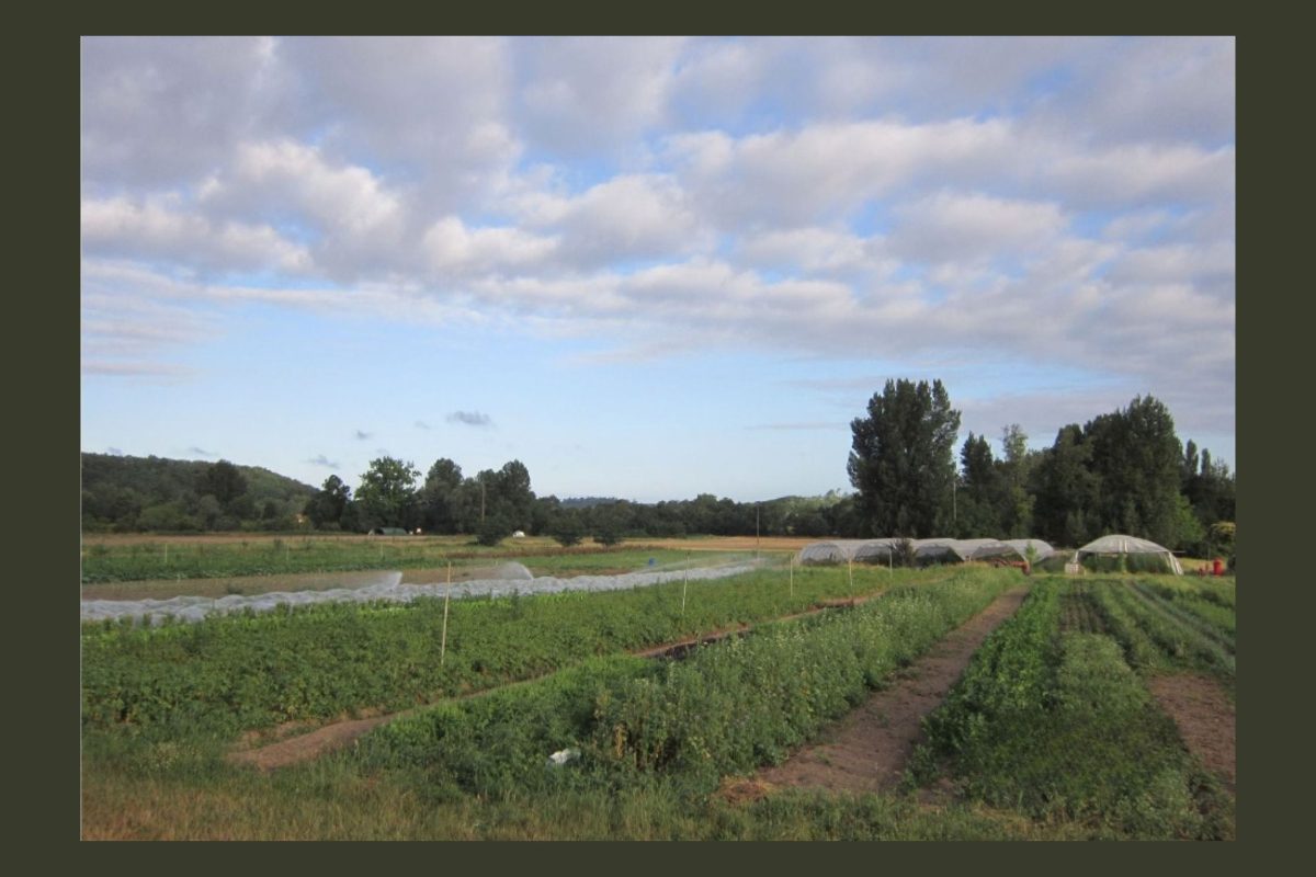 La biodiversité à la Corne d'Abondance