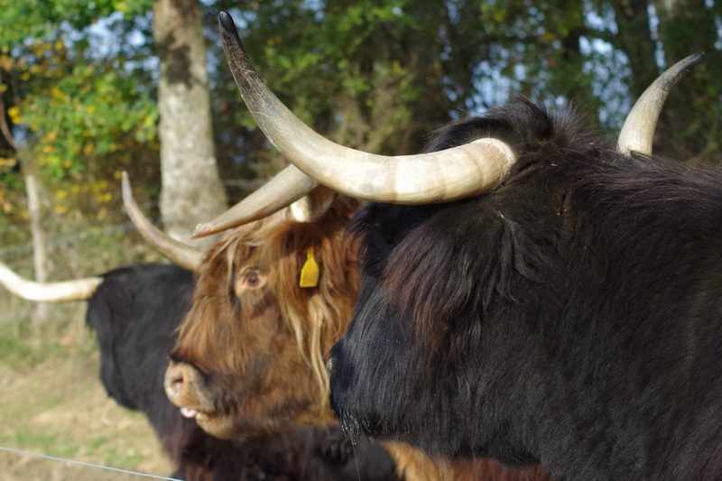 Ferme de Jean Marouty