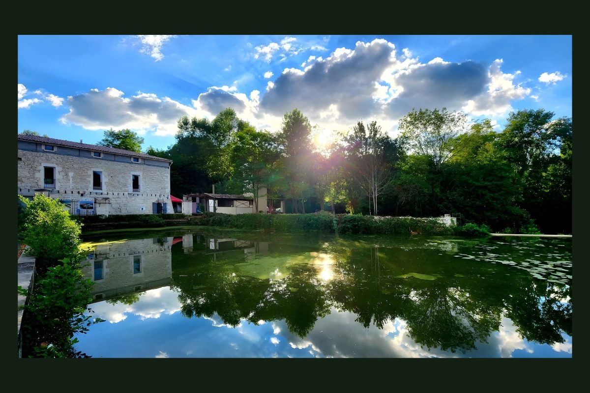 La biodiversité au Moulin
