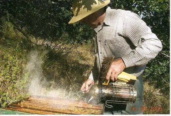M. VAYSSE Apiculture
